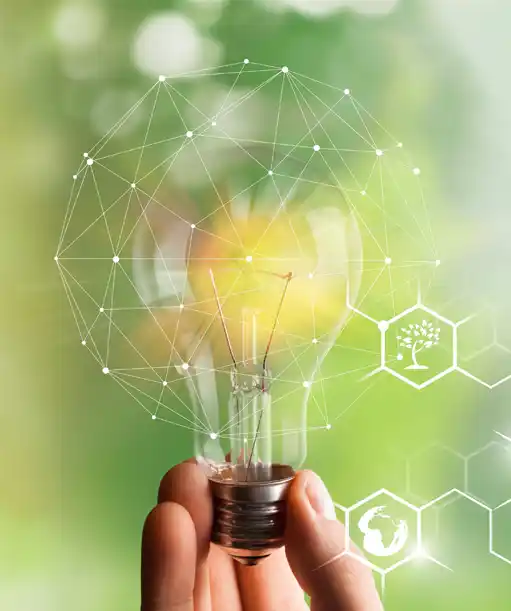 energy exchange programme